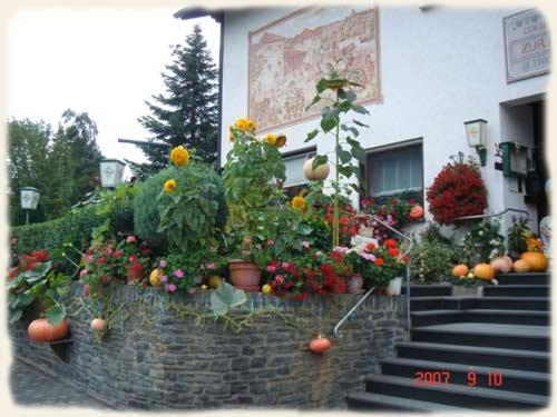 Gasthof Zur Romervilla Mehring  Kültér fotó